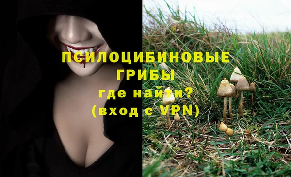 трава Аркадак